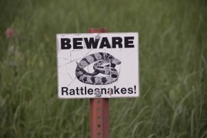 Rattle Snake Warning